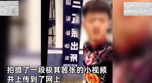 小老弟 视频,揭秘网络红人的魅力与成长之路