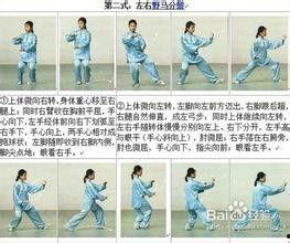 简化二十四式太极拳视频,轻松入门,养生健身之道