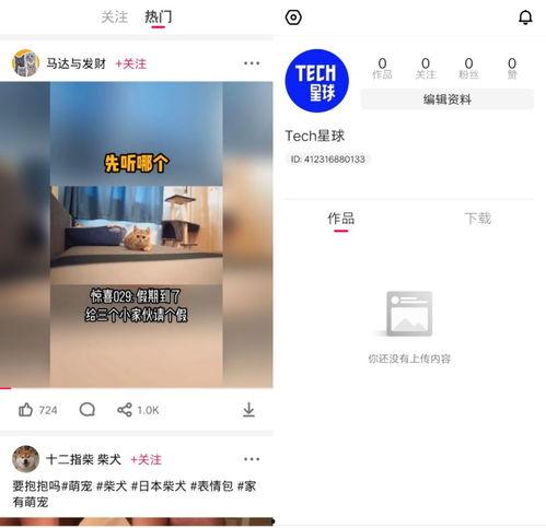 快毛短视频,轻松捕捉生活精彩瞬间