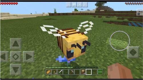 我的世界生存版视频,我的世界生存版冒险之旅