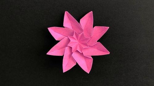 视频折花大全,轻松掌握折花艺术,尽享花艺之美